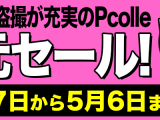 Pcolle　旧作半額セール！